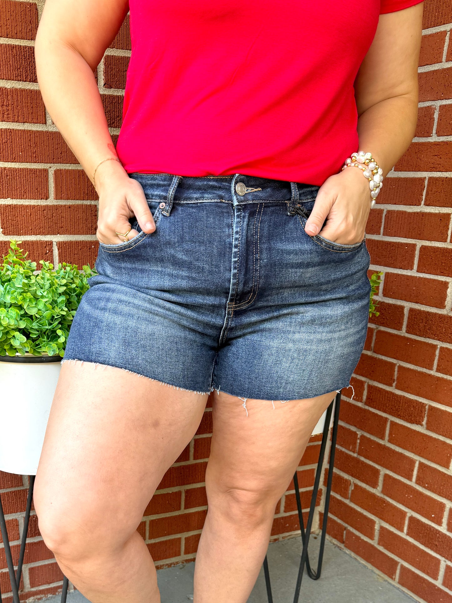 Charlie High Rise Shorts