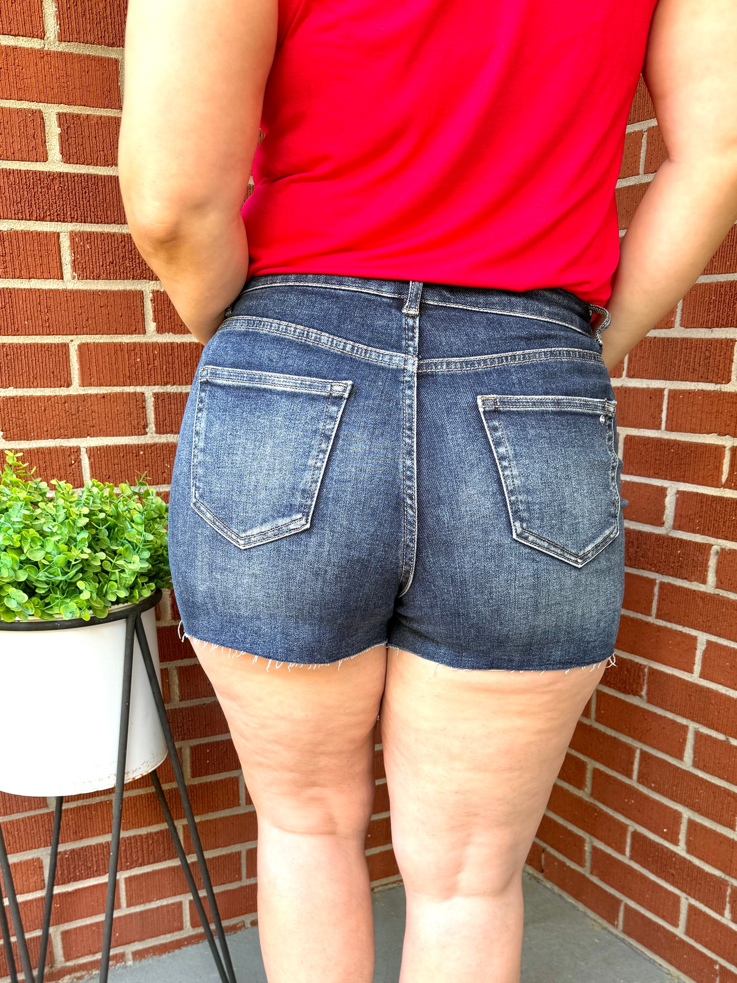 Charlie High Rise Shorts