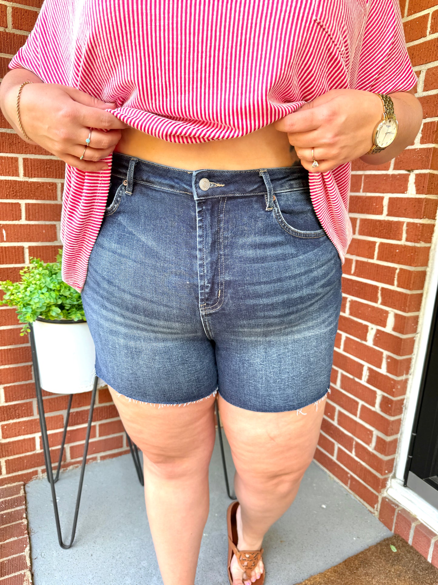 Charlie High Rise Shorts