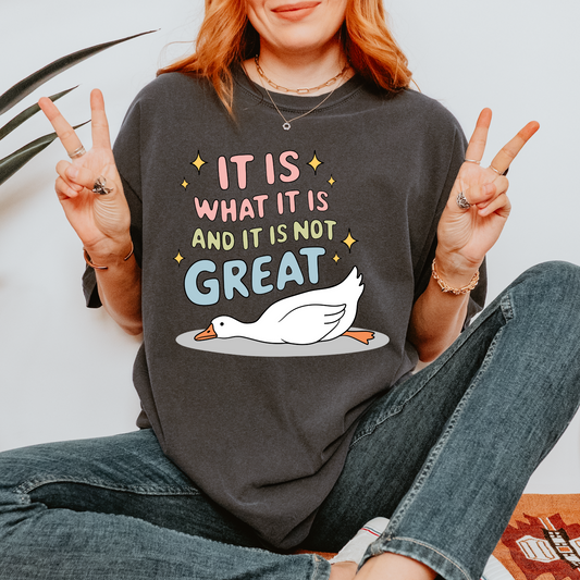 It Is Not Great Comfort Colors Tee