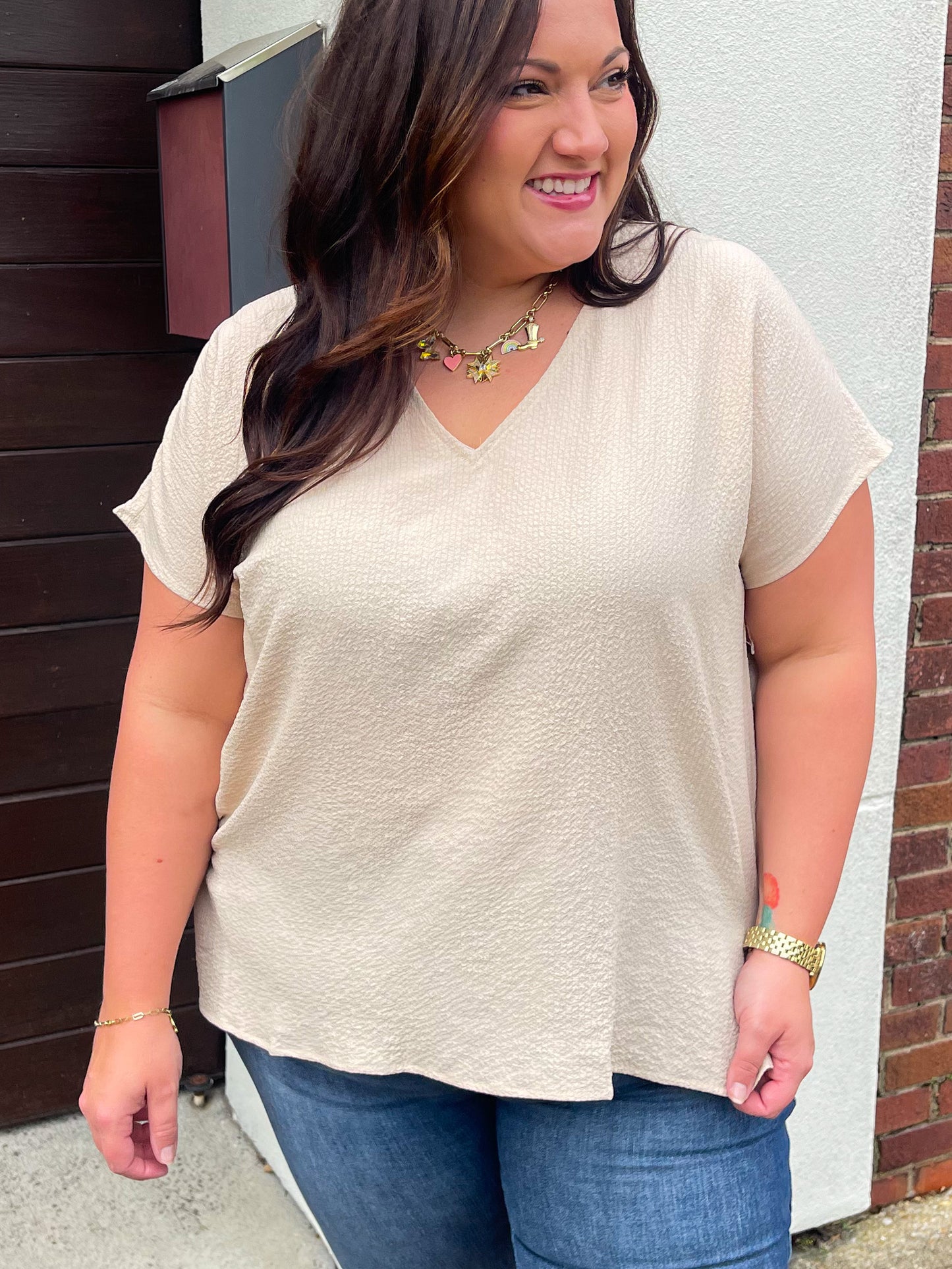 Let Me Be Your Wings V-Neck Top in Taupe