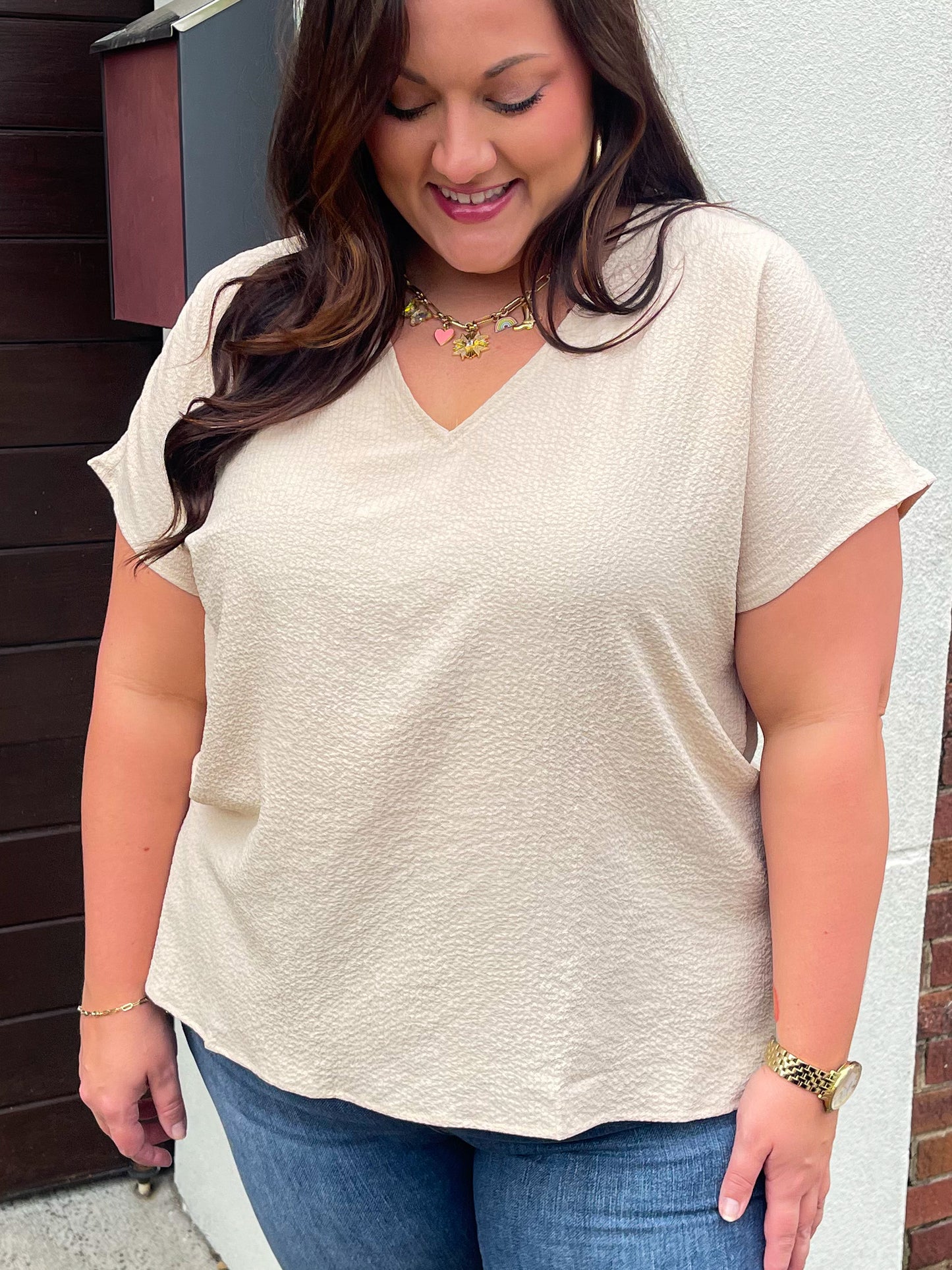 Let Me Be Your Wings V-Neck Top in Taupe