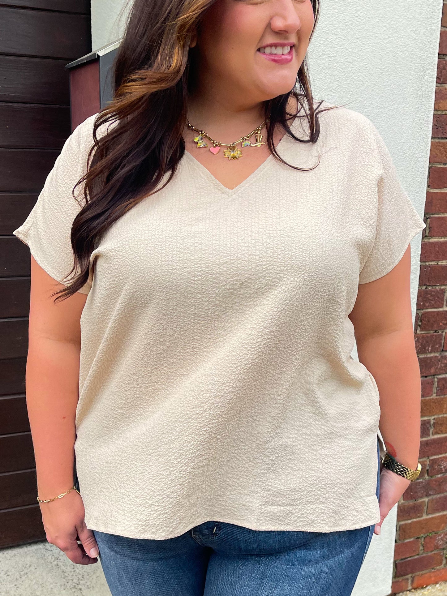 Let Me Be Your Wings V-Neck Top in Taupe