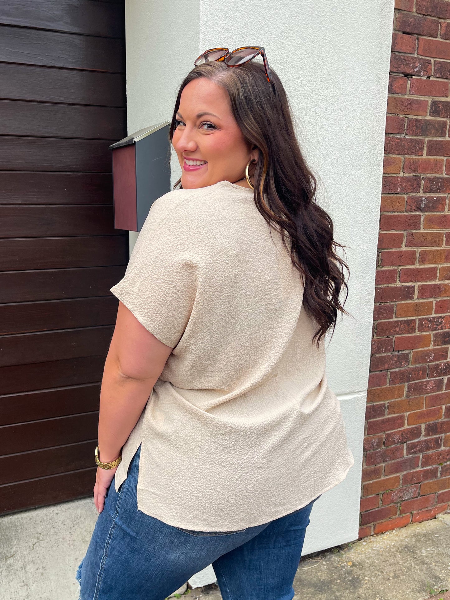 Let Me Be Your Wings V-Neck Top in Taupe