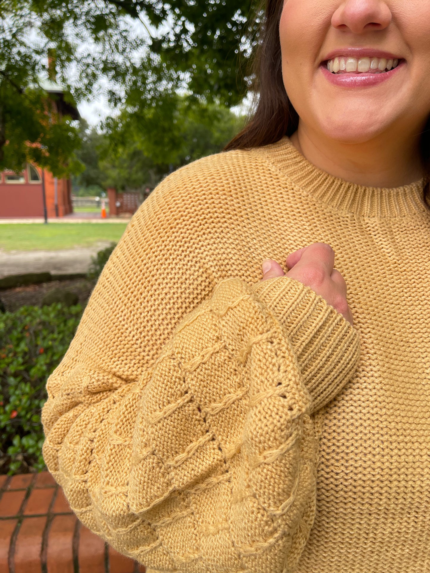 Bubbly Personality Bubble Sleeve Sweater in Wheat