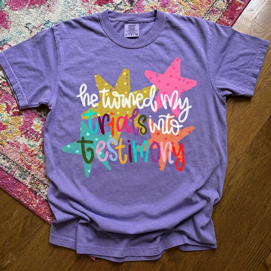 Testimony Comfort Colors Tee